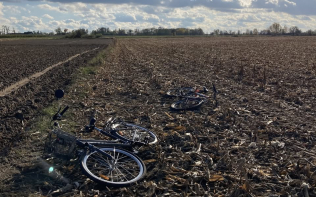 zdjęcie rowerów na polu